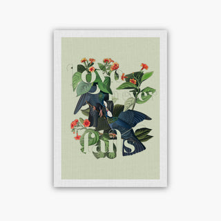 Audubon Birds Wall art frames