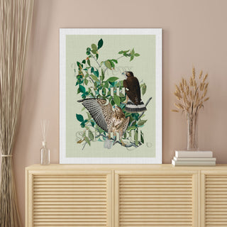 Audubon Birds Wall Art 1