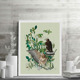 Audubon Birds Wall Art 4