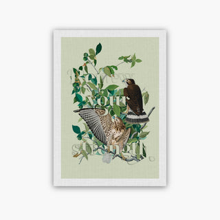 Audubon Birds Wall Art