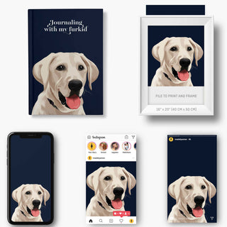 Different methods for customising Pet Notebooks