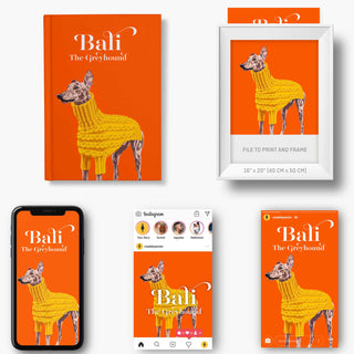 Different methods for customising Pet Notebooks 1