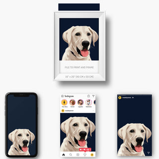 Create Pet Portraits From Photos
