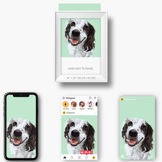 different examples of Pet Portraits From Photos 24