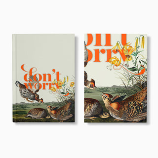 dual audubon birds notebooks