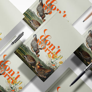 audubon birds notebooks with pens